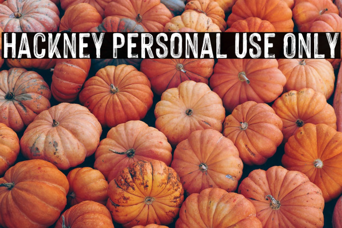 Hackney Personal Use Only Example 3