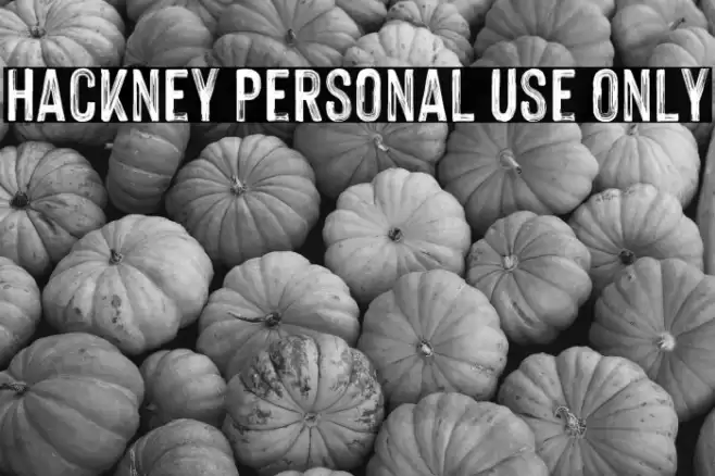 Hackney Personal Use Only Font examples