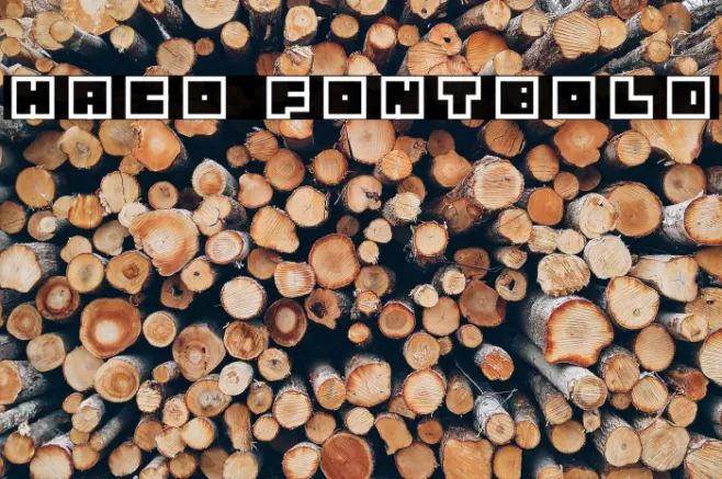 Haco Font-Bold Example 1