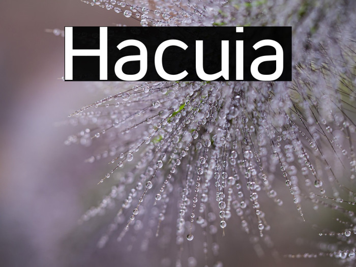 Hacuia Example 3