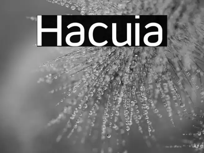 Hacuia Font examples