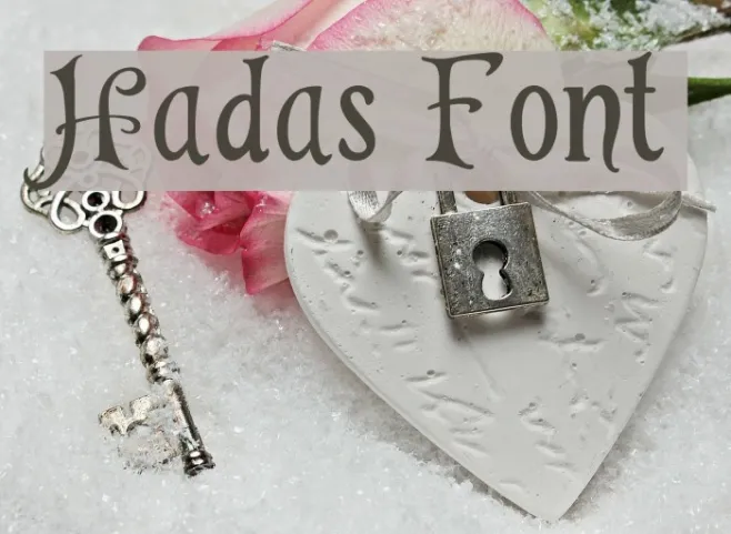 Hadas Example 2