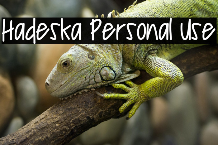 Hadeska Personal Use Example 1