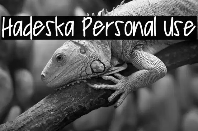 Hadeska Personal Use Шрифта examples