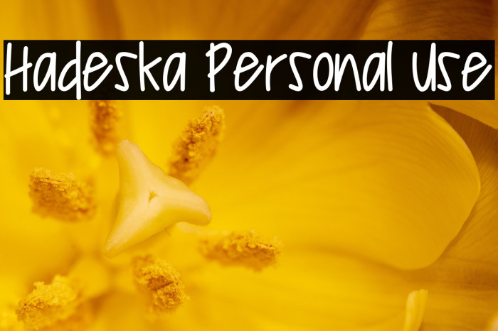 Hadeska Personal Use Example 2