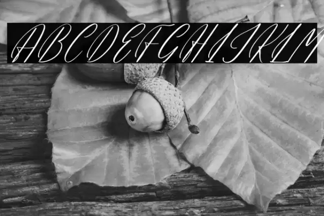 Hadinesta Blarfhine DEMO VERSIO Italic Caratteri examples