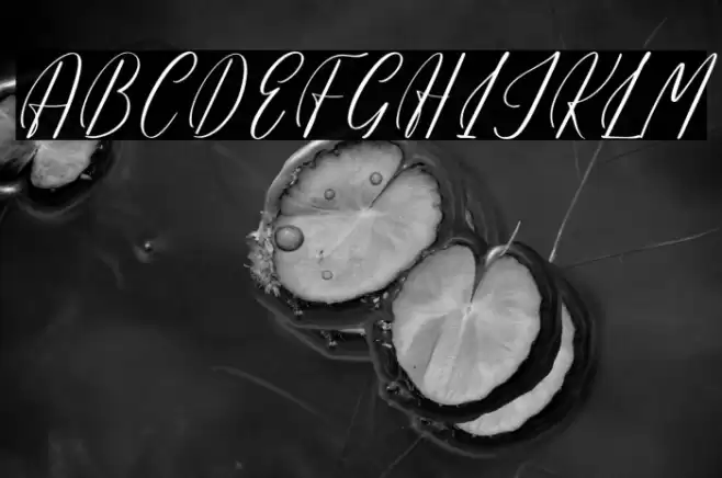 Hadinesta Blarfhine DEMO VERSIO Caratteri examples