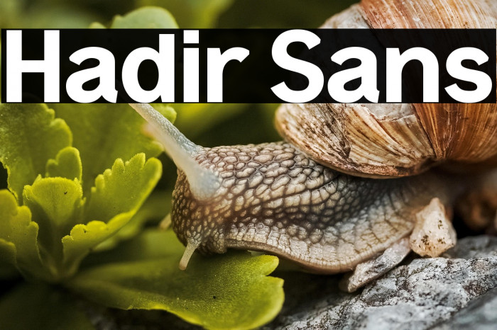 Hadir Sans Example 1