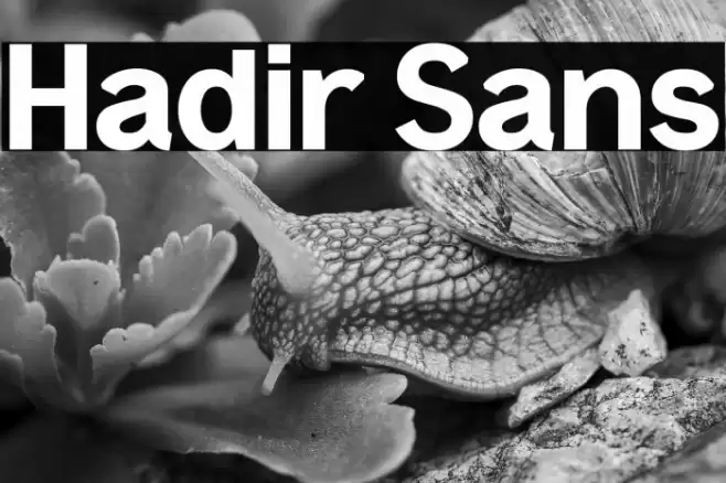 Hadir Sans Font examples