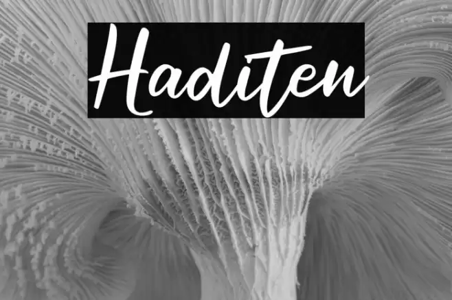 Haditen Font examples