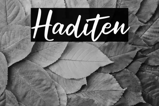 Haditen Font examples
