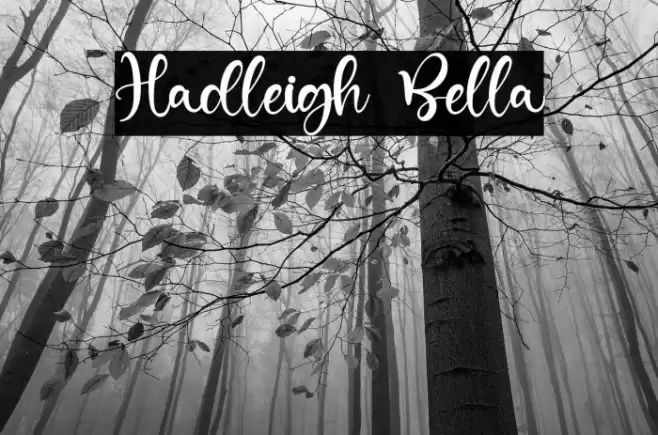 Hadleigh Bella Font examples