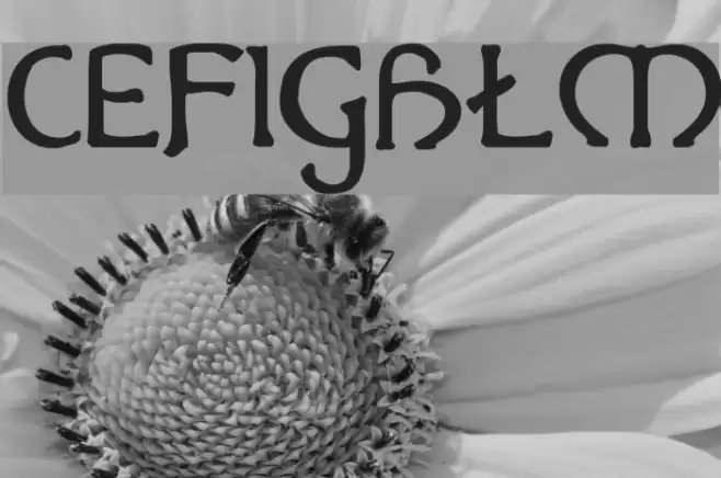 Hadley Alts Font examples