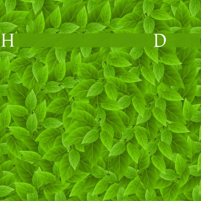 Hadrianus Demo Font examples