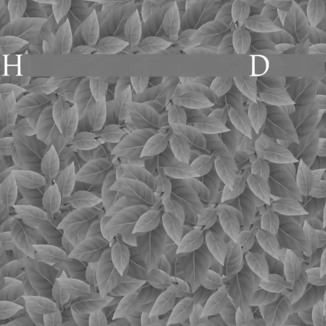 Hadrianus Demo Caratteri examples