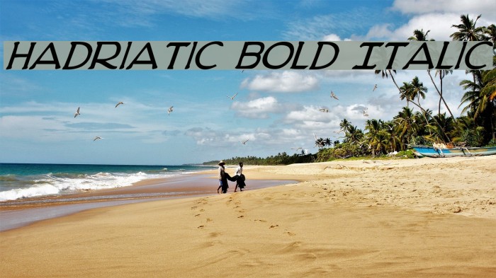 Hadriatic Bold Italic Font examples
