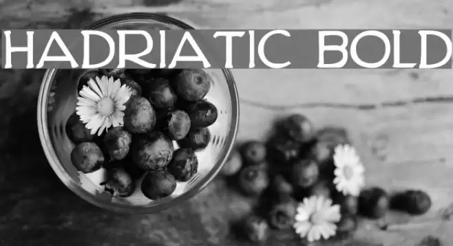 Hadriatic Bold Font examples