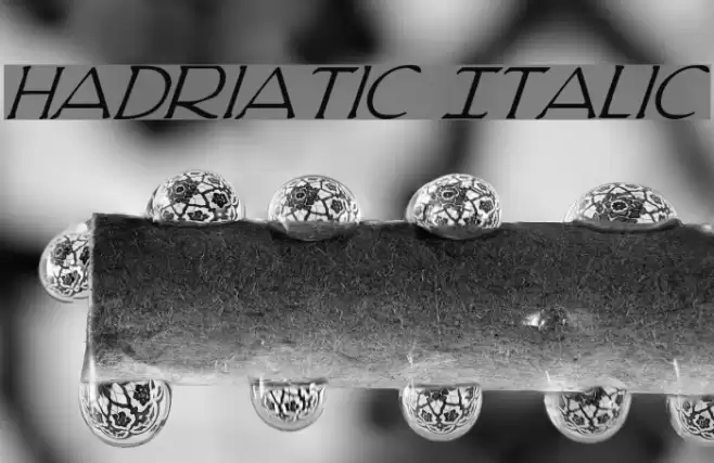 Hadriatic Italic Font examples