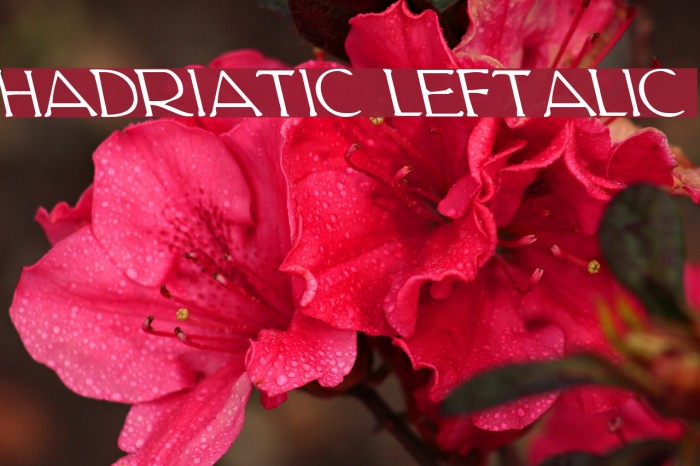 Hadriatic Leftalic Font examples