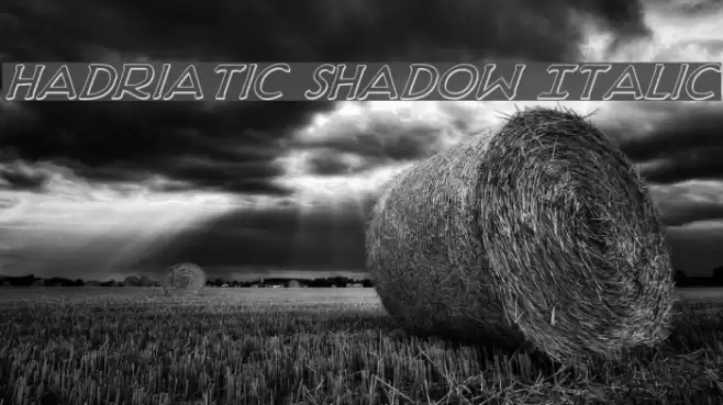 Hadriatic Shadow Italic Font examples