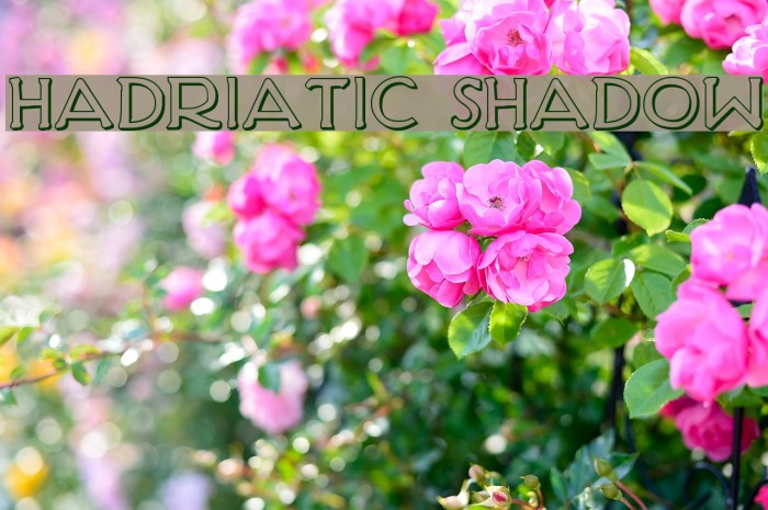 Hadriatic Shadow Font examples
