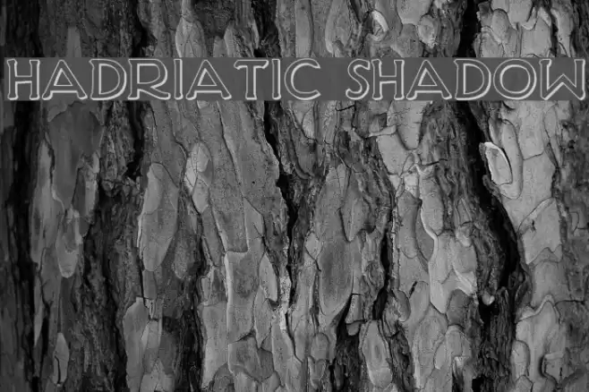 Hadriatic Shadow Font examples