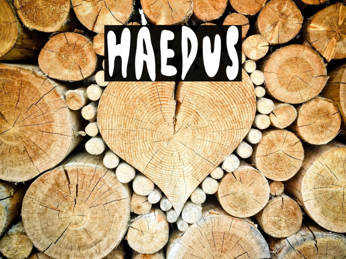 Haedus Example 1