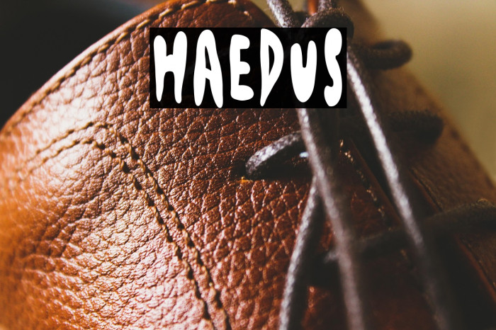 Haedus Example 2