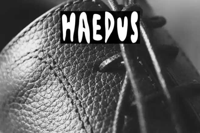 Haedus Font examples