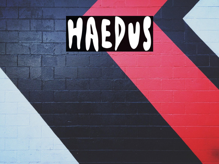 Haedus Example 3