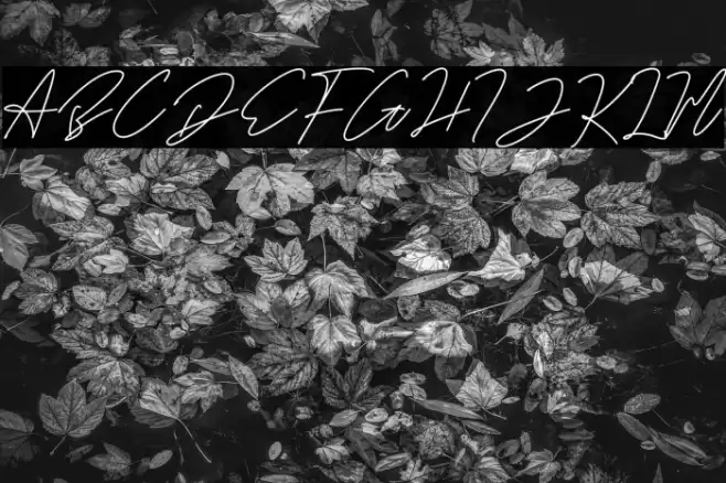 Haelynn Caratteri examples