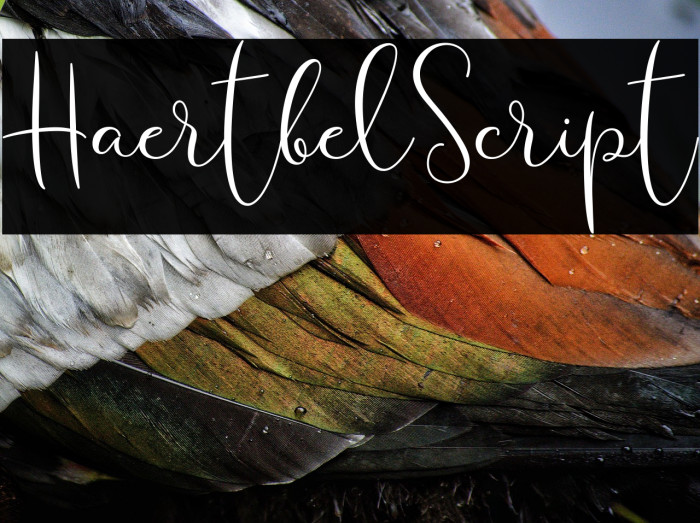 HaertbelScript Example 1