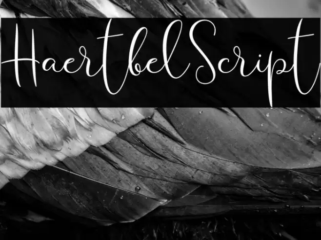 HaertbelScript Font examples