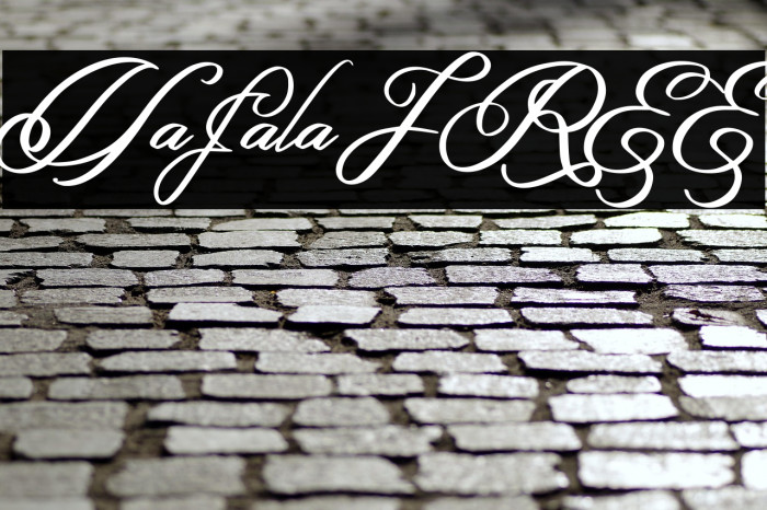 Hafala FREE Example 2