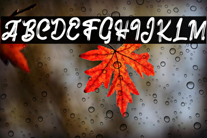 HafelaFREE Example 1