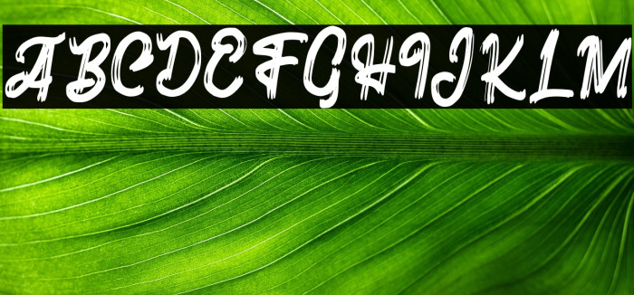 HafelaFREE Example 3