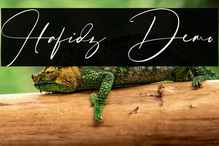 Hafidz Demo Example 1