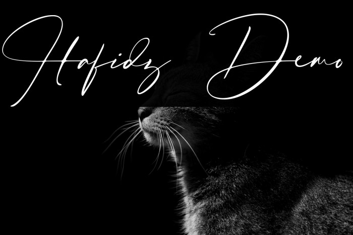 Hafidz Demo Example 2