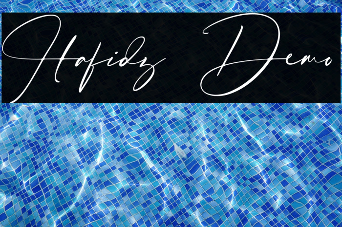 Hafidz Demo Example 3