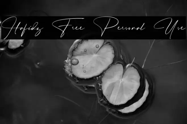 Hafidz Free Personal Use Fuentes examples