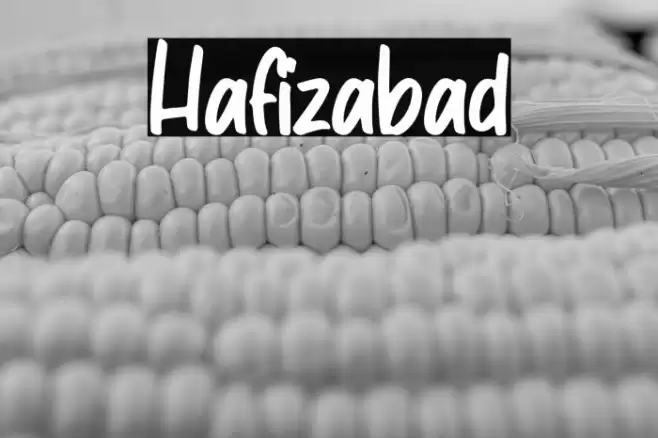 Hafizabad 字体 examples