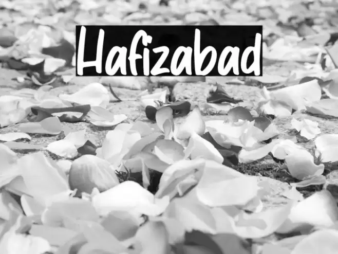 Hafizabad 字体 examples