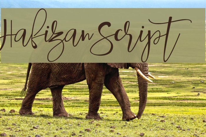 Hafizan Script Font examples