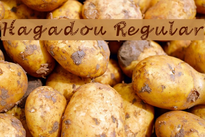 Hagadou Regular Example 2