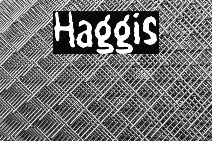 Haggis Example 2