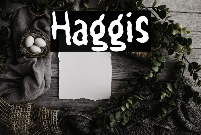 Haggis Example 3