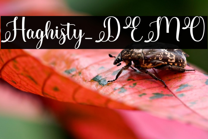 Haghisty_DEMO Example 1