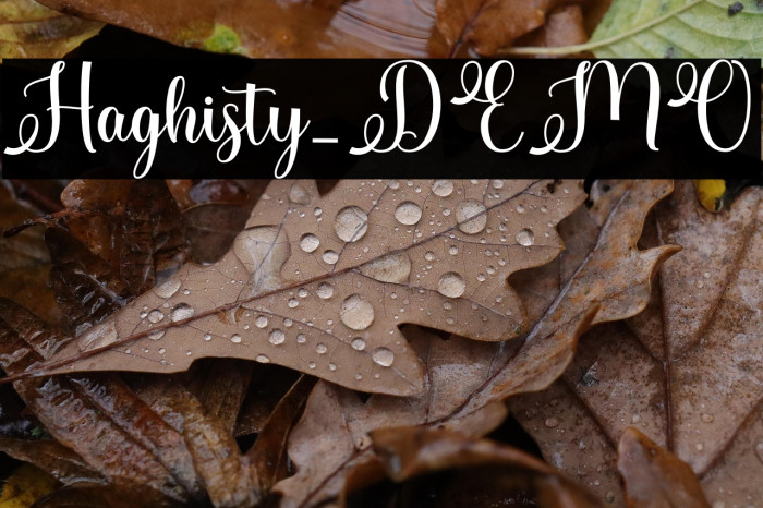 Haghisty_DEMO Example 2