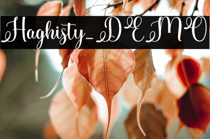 Haghisty_DEMO Example 3