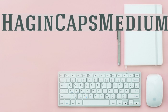 HaginCapsMedium Font examples